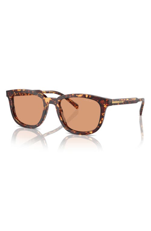 Shop Prada 53mm Pillow Sunglasses In Havana/orange