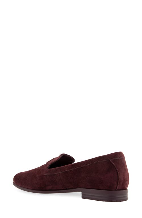 Shop Aerosoles Wiera Loafer In Deep Aubergine Suede