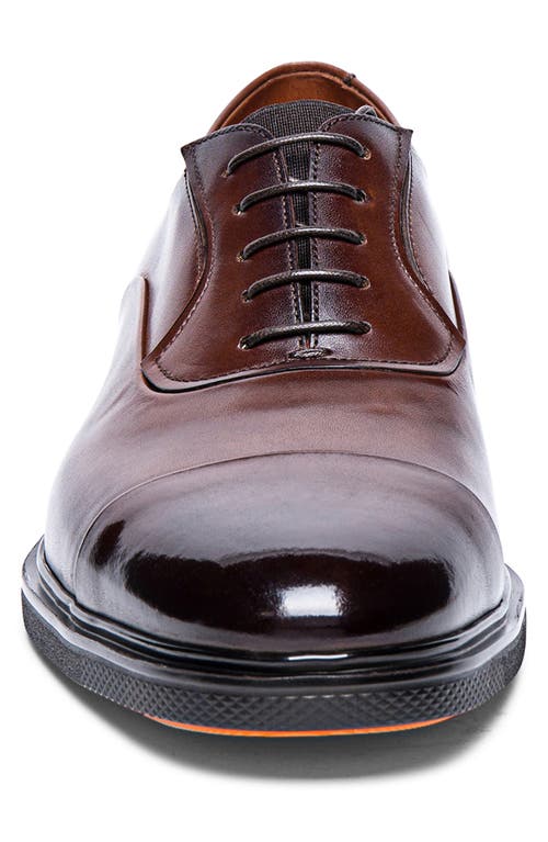 Shop Santoni Cap Toe Oxford In Dark Brown