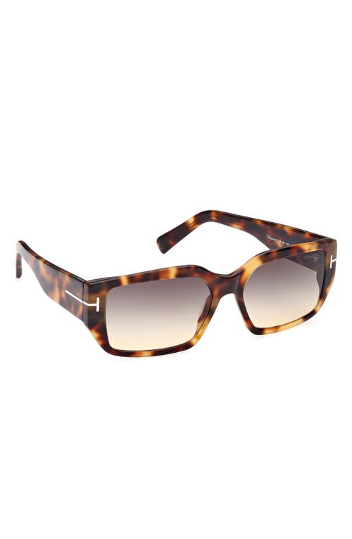 Tom Ford Andres 56mm Square Sunglasses In Coloured Havana/smoke