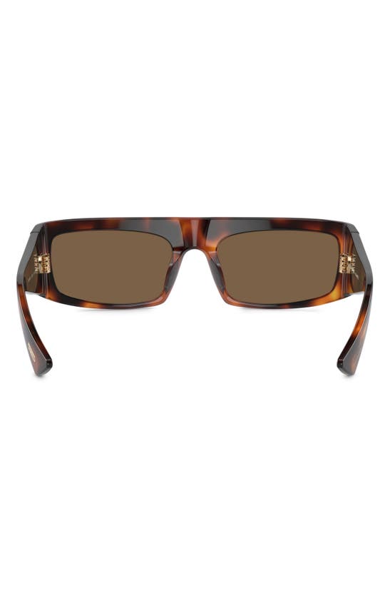 Shop Oliver Peoples X Khaite 1979c 56mm Rectangular Sunglasses In Brown