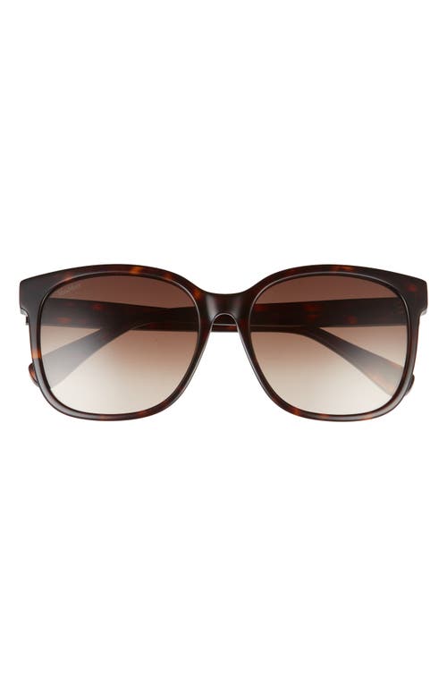 Max Mara 57mm Gradient Square Sunglasses in Havana/Brown at Nordstrom