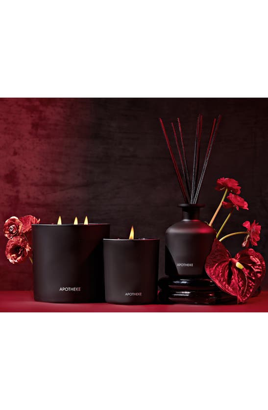Apotheke Charcoal Rouge Reed Diffuser, 6.7 Oz. In Black