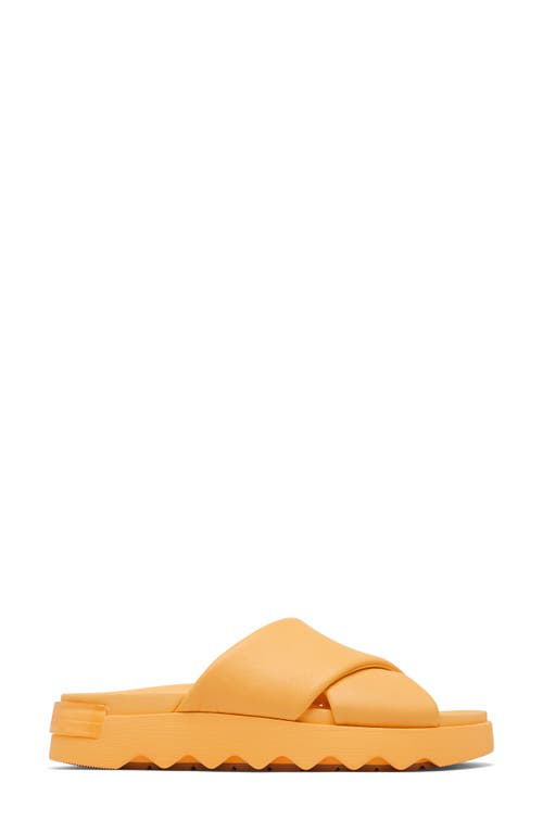 Shop Sorel Vibe Slide Sandal In Yellow Ray/gum 17