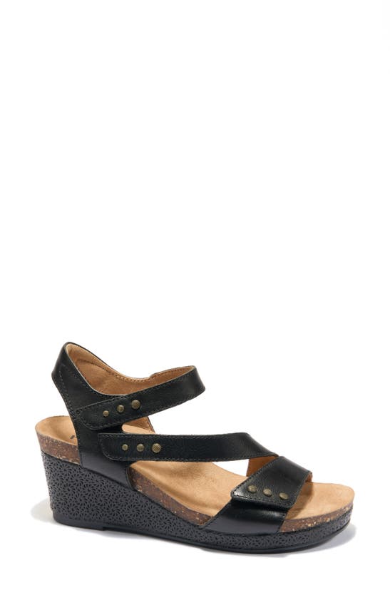 Shop Halsa Footwear Gisella Wedge Sandal In Black