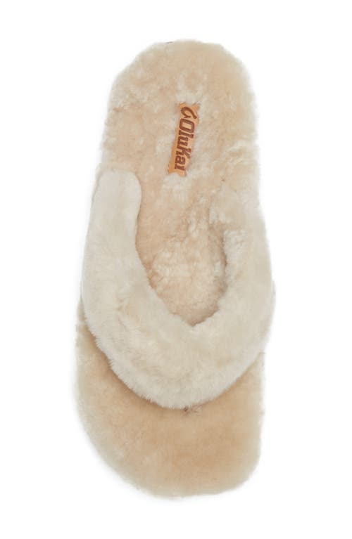 Shop Olukai Kipea Heu Genuine Shearling Slide Sandal In Tapa/tapa