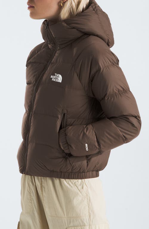 Shop The North Face Hydrenalite Hooded Down Jacket In Smokey Brown