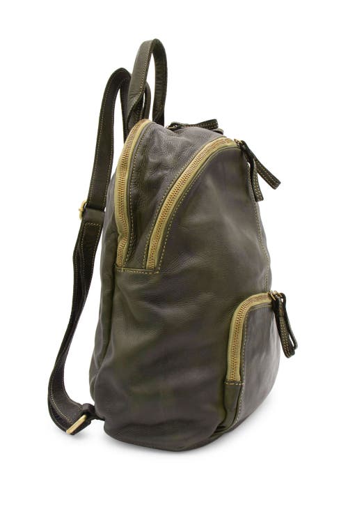 Bolsa Nova Celeste Backpack In Olive
