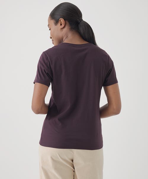 Pact Organic Cotton Softspun Crew Neck Tee In Plum