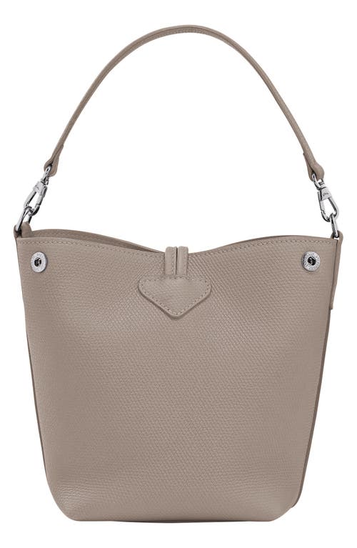 Shop Longchamp Extra Small Le Roseau Leather Bucket Bag In Clay