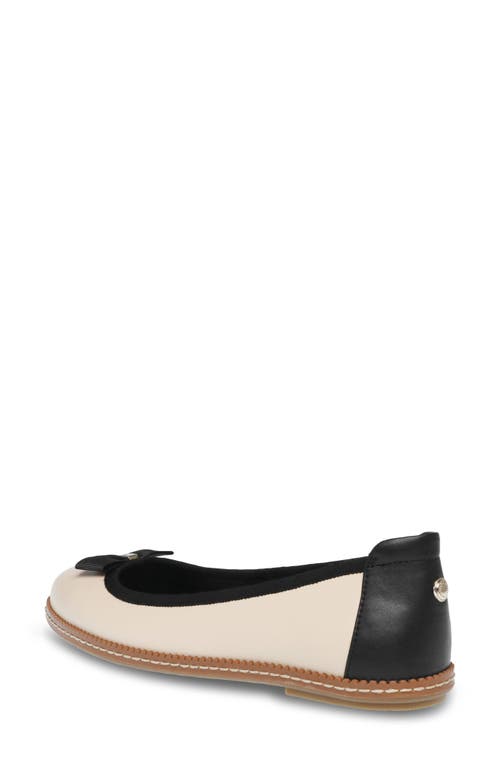 Shop Anne Klein Ember Flat In Nude/black