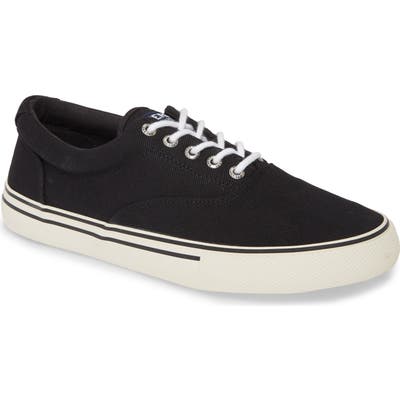 Sperry Striper Storm Cvo Sneaker