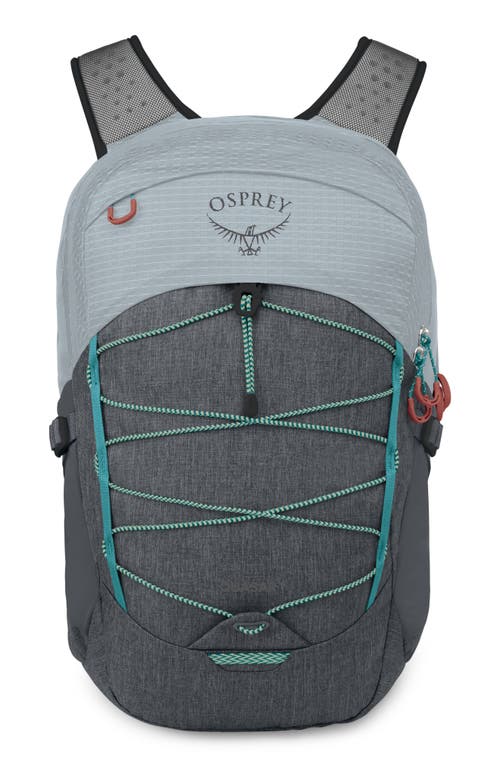 Osprey Quasar 24/7 Series 26-Liter Backpack in Silver Lining/Tunnel Vision