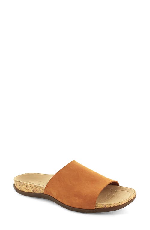 Ithaca Slide Sandal in Tan