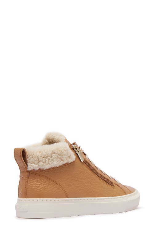 Frankie4 Miles Genuine Shearling Lined Sneaker In Tan