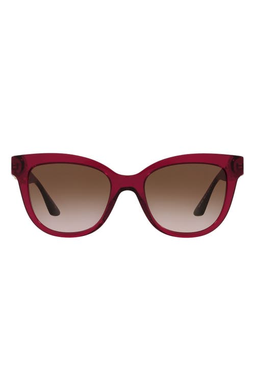 Versace 54mm Gradient Cat Eye Sunglasses In Bordeaux/brown Gradient