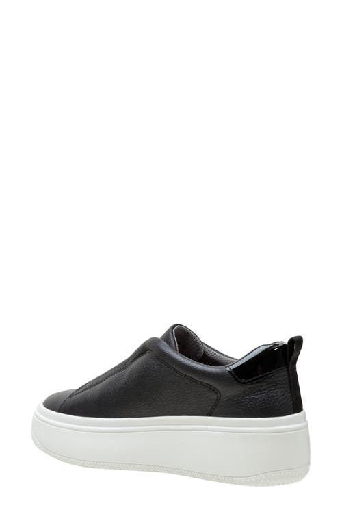 Linea Paolo Golde Platform Sneaker In Black