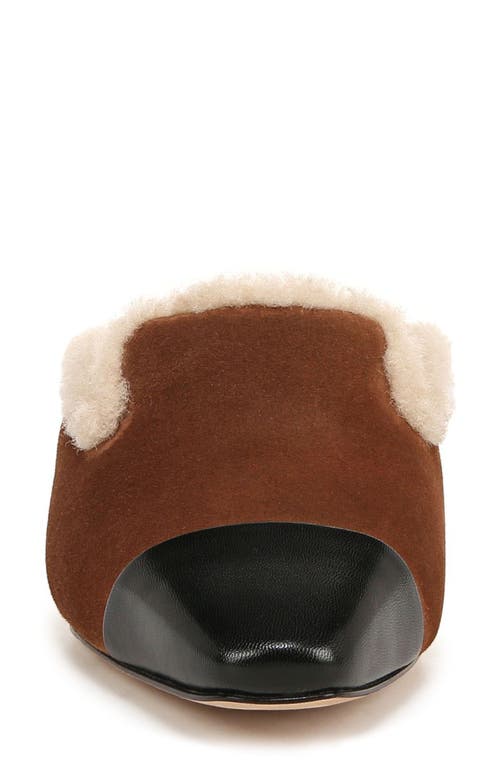 Shop Veronica Beard Cecile Genuine Shearling Mule In Cedar/black