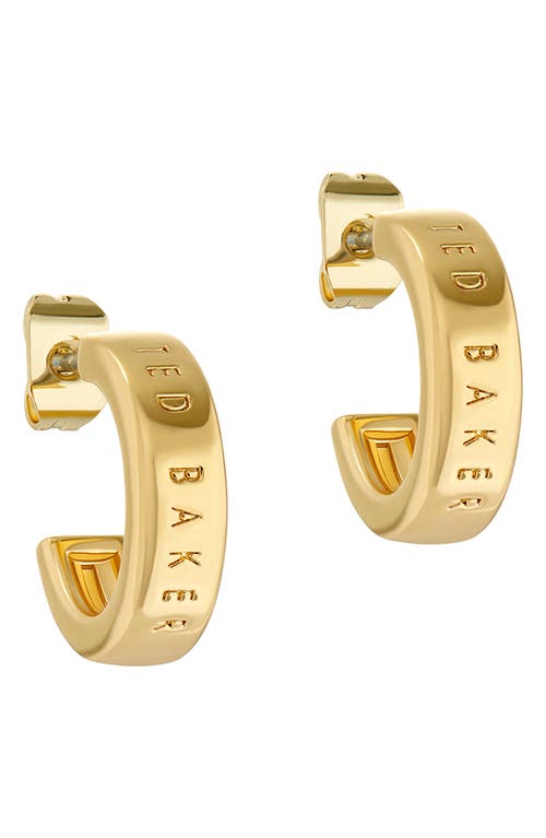 Ted Baker London Helanna Nano Logo Huggie Hoop Earrings in Gold Tone at Nordstrom