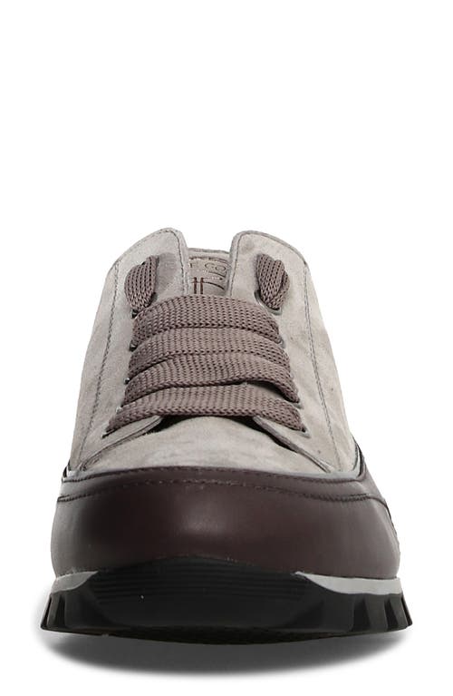 Candice Cooper Janis Strip Sneaker In Anthracite Grey