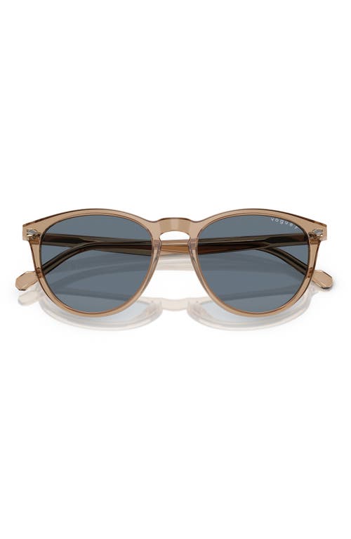 Vogue 53mm Phantos Sunglasses In Beige Polarized