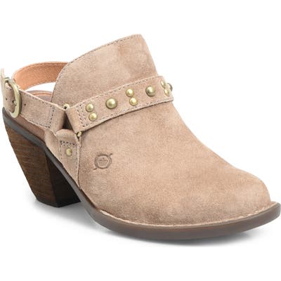 B?rn Pindo Mule, Brown