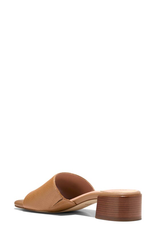 Shop Cole Haan Calli Single Band Block Heel Slide Sandal In Pecan Ltr