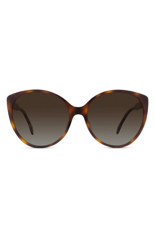 Fendi Polarized Round Sunglasses, 59mm In Blonde Havana/grad Roviex