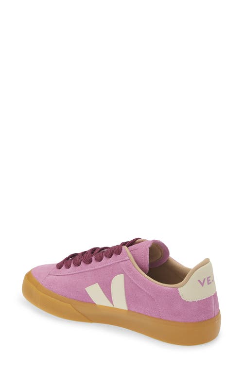 Shop Veja Campo Sneaker In Mulberry/pierre