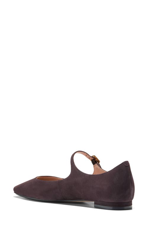 Shop Cole Haan Bridge Mary Jane Ballet Flat In Dark Chocolate Suede