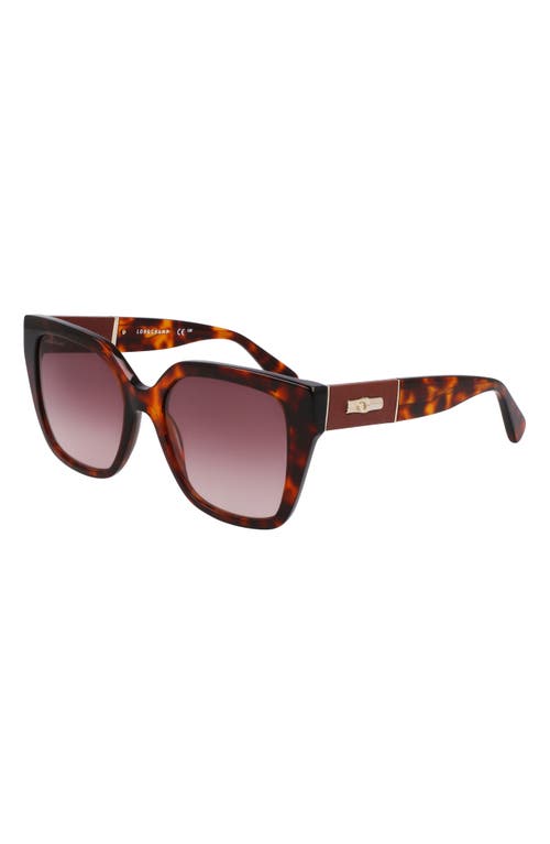 LONGCHAMP LONGCHAMP ROSEAU 54MM BUTTERFLY SUNGLASSES