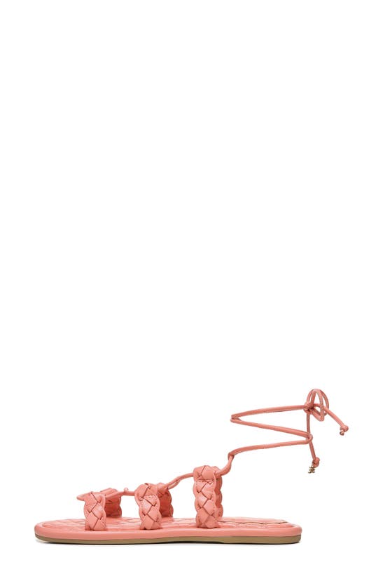 Sam Edelman Zariah Sandal In Canyon Clay