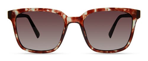 Eco Miller Sunglasses In Havana Moss