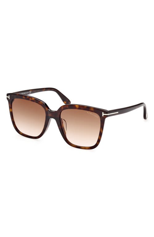 Tom Ford 55mm Butterfly Sunglasses In Dark Havana/gradient Brown