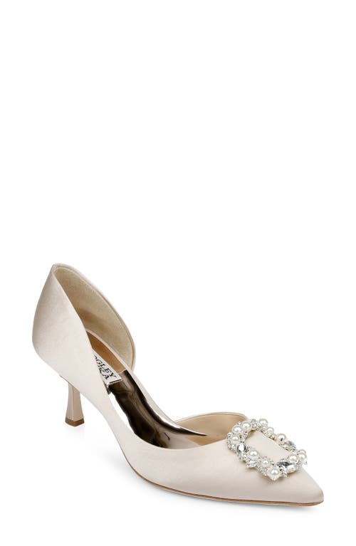 Fabia Embellished Pointed Toe Pump in Nude