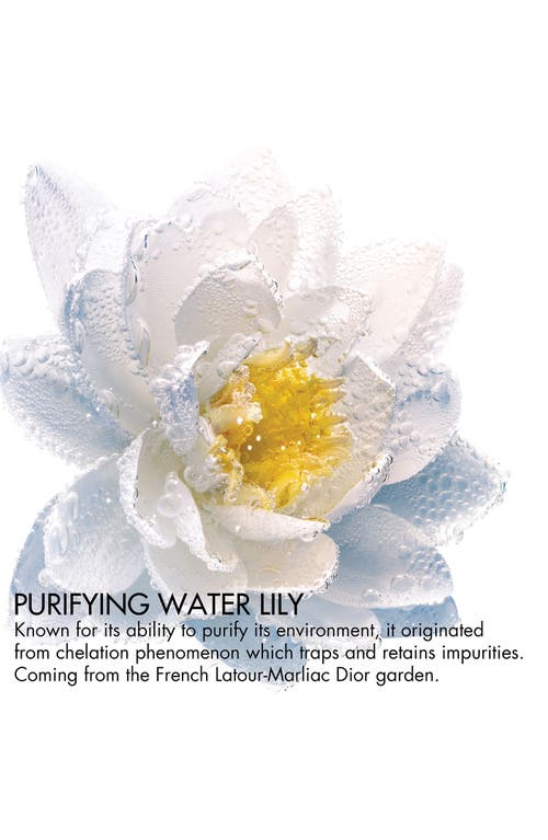 Dior Eye And Lip Makeup Remover Purifying Nymphea Bi-phase Makeup Remover In No Color