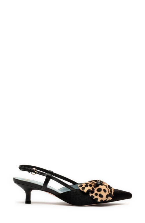 Frances Valentine Flower Genuine Calf Hair Kitten Heel Slingback Pump In Haircalf Black