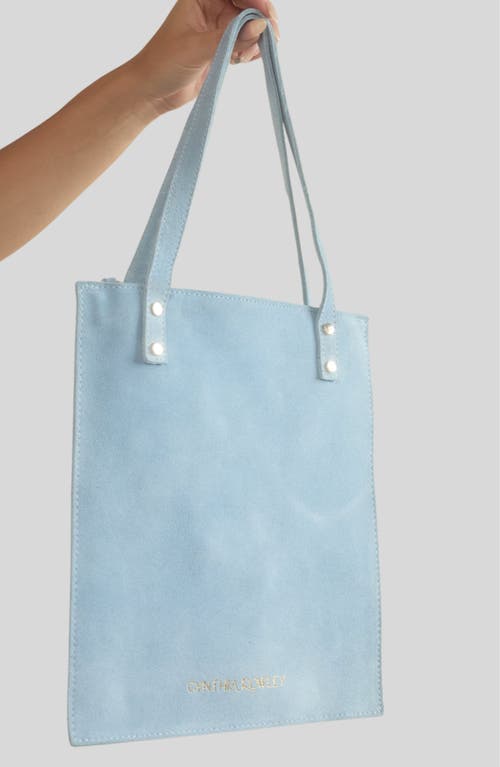CYNTHIA ROWLEY CYNTHIA ROWLEY SLEEK SUEDE TOTE