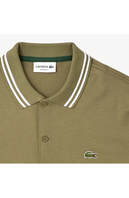 Shop Lacoste Regular Fit Tipped Cotton Polo In Khaki