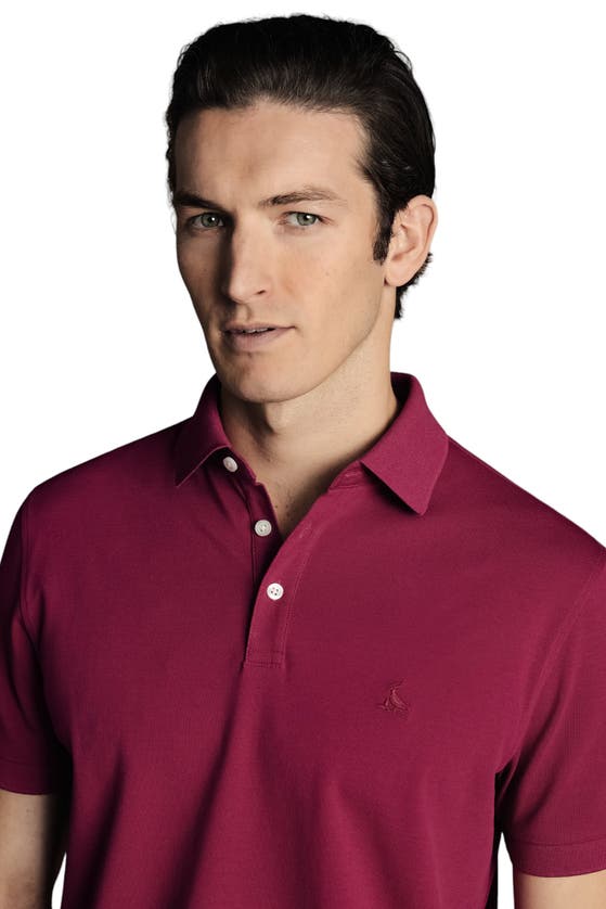 Shop Charles Tyrwhitt Solid Short Sleeve Cotton Tyrwhitt Pique Polo In Bright Pink