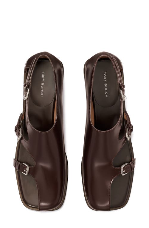 Shop Tory Burch Double Monk Strap Shoe In Dark Umber