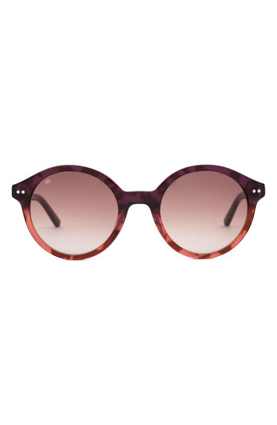 Sito Shades Dixon 52mm Gradient Standard Round Sunglasses In Rosewood Tort/ Rose Gradient