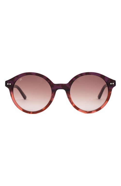 Shop Sito Shades Dixon 52mm Gradient Standard Round Sunglasses In Rosewood Tort/rose Gradient