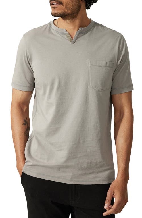 Premium Cotton T-Shirt in Frost Grey