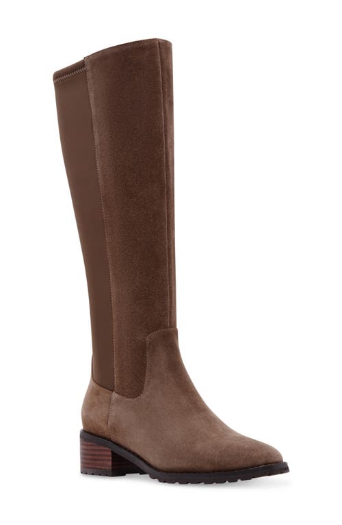 Shop Blondo Symone Waterproof Knee High Boot In Taupe Suede