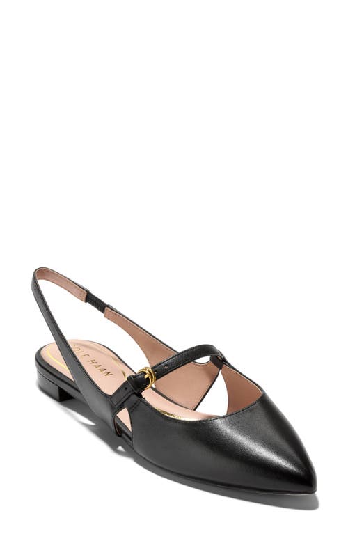 Shop Cole Haan Anya Slingback Mary Jane Pointed Toe Flat In Black Leather