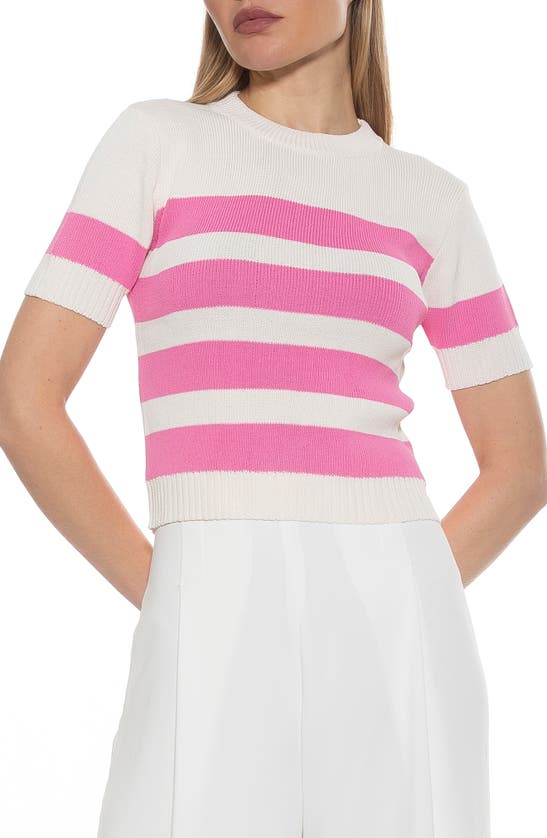 Alexia Admor Pat Stripe Short Sleeve Sweater Top In Ivory/ Pink