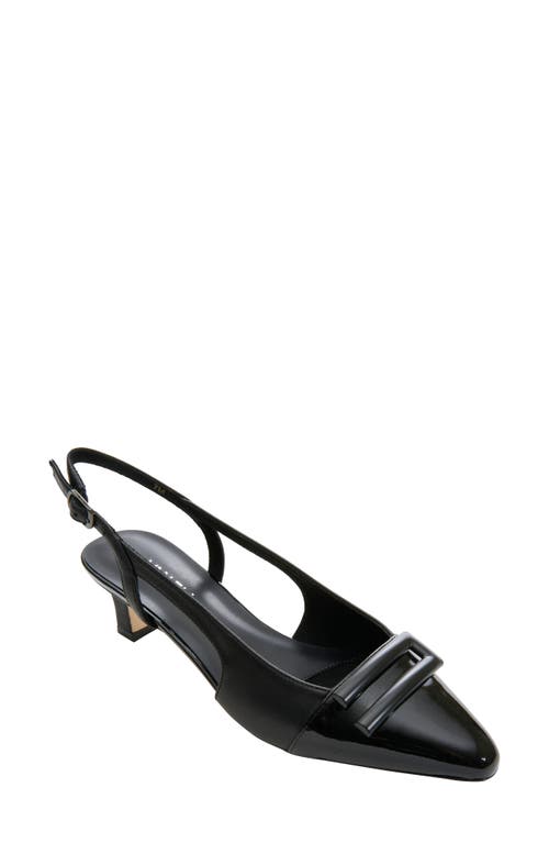Tady Pointed Toe Slingback Pump in Black