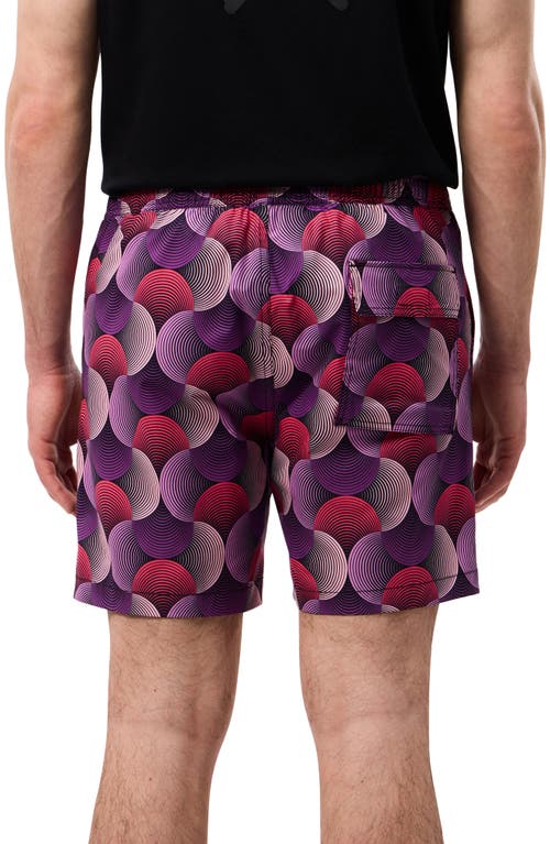 Shop Psycho Bunny Stafford Print Swim Trunks In Purple Multicolored