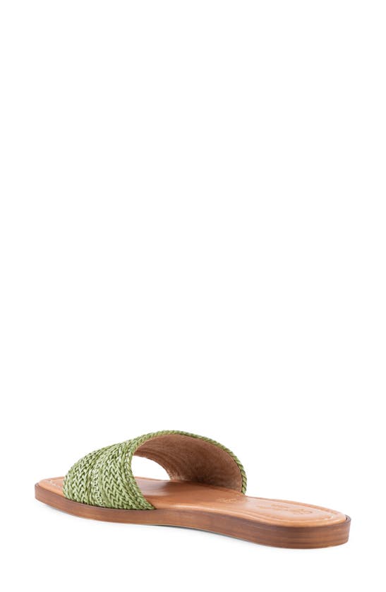 Shop Seychelles Palms Perfection Slide Sandal In Green